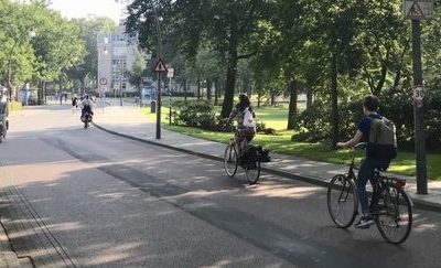 Geef bomen de kans om oud te worden