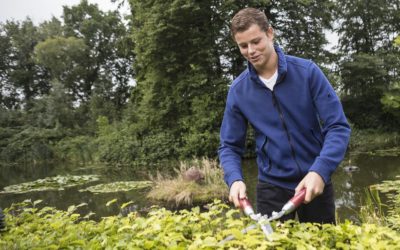 Aantal hoveniers groeit fors maar branche komt nog steeds handen te kort